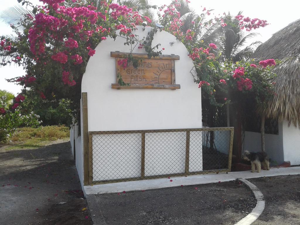 Bungalows Familiares 몬테리코 외부 사진